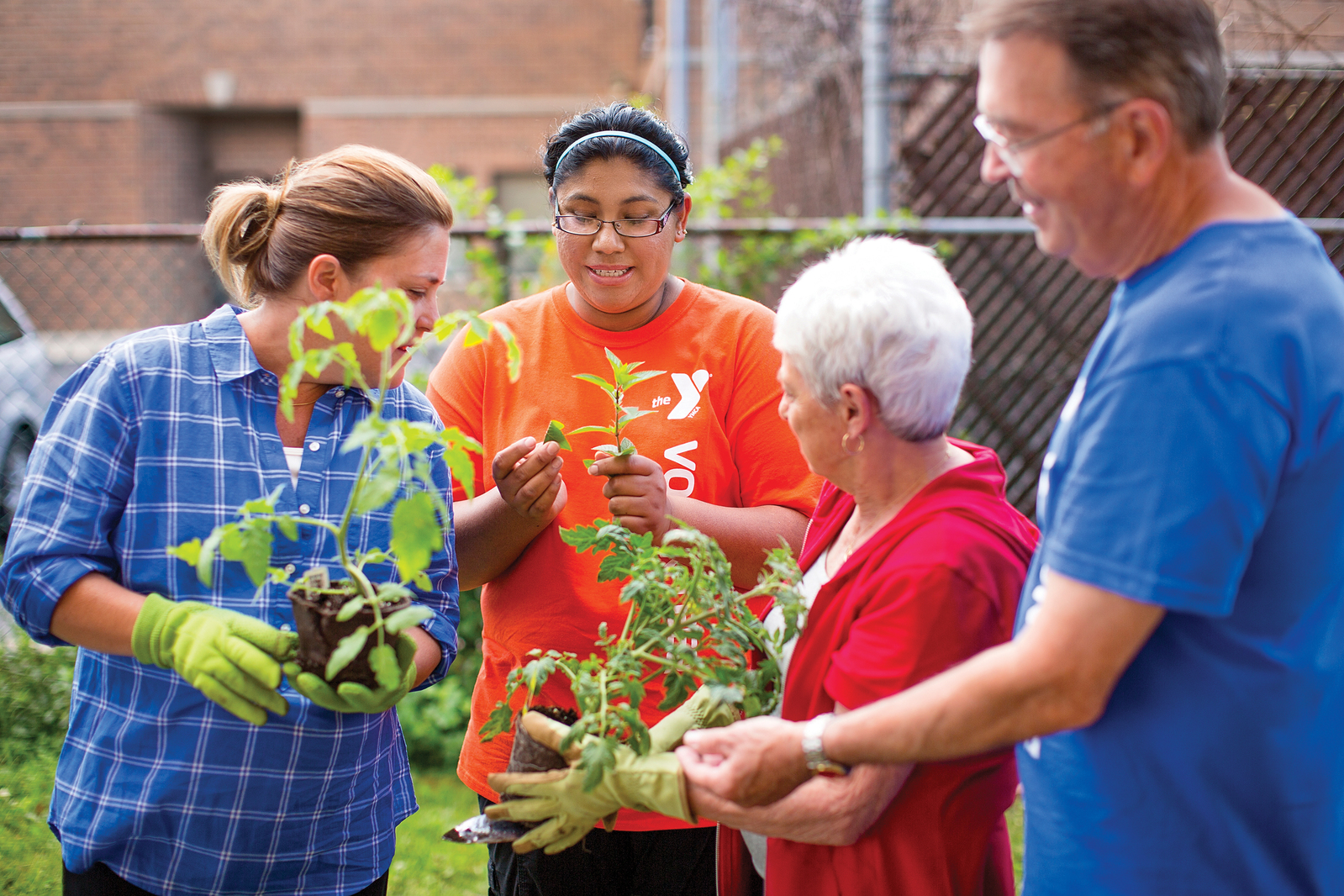 Volunteers helping the community planting plants.