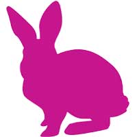 Pink Bunny