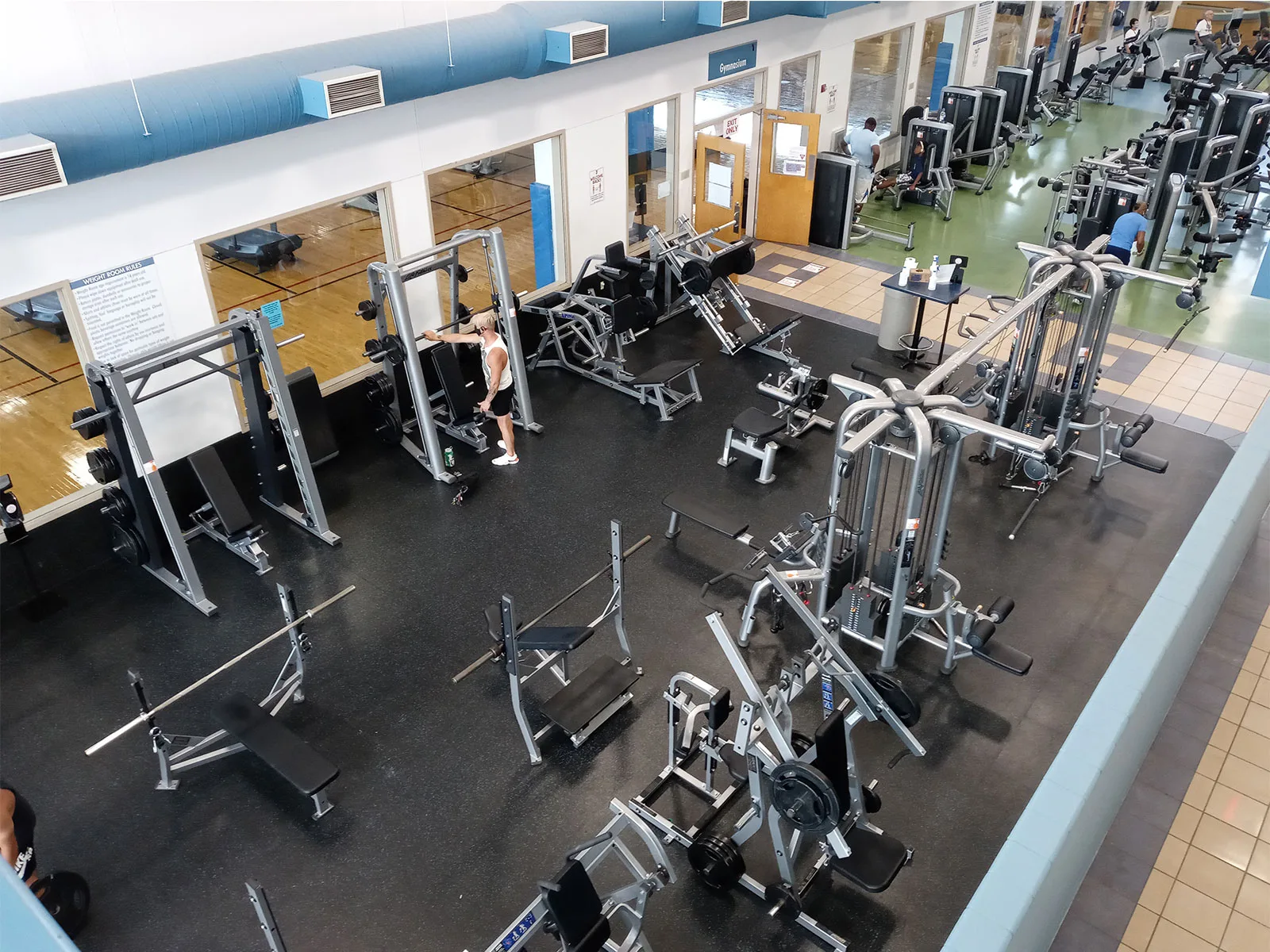 Free Weight1 Free Weight1