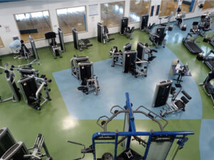 Selectorize1 Selectorize1
