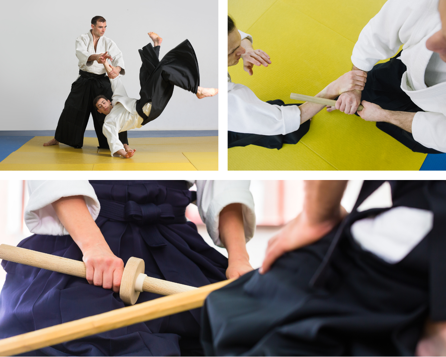 Aikido COLLAGE