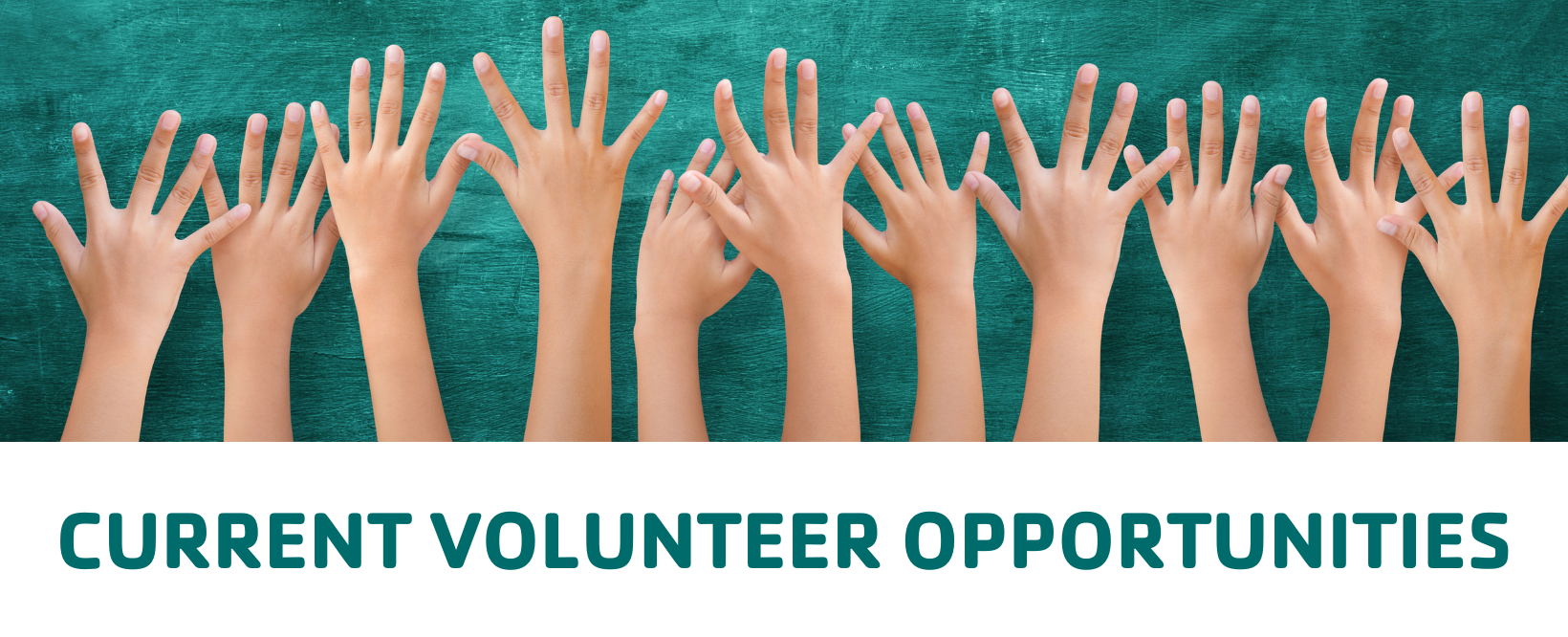 Current Volunteer Opportunities