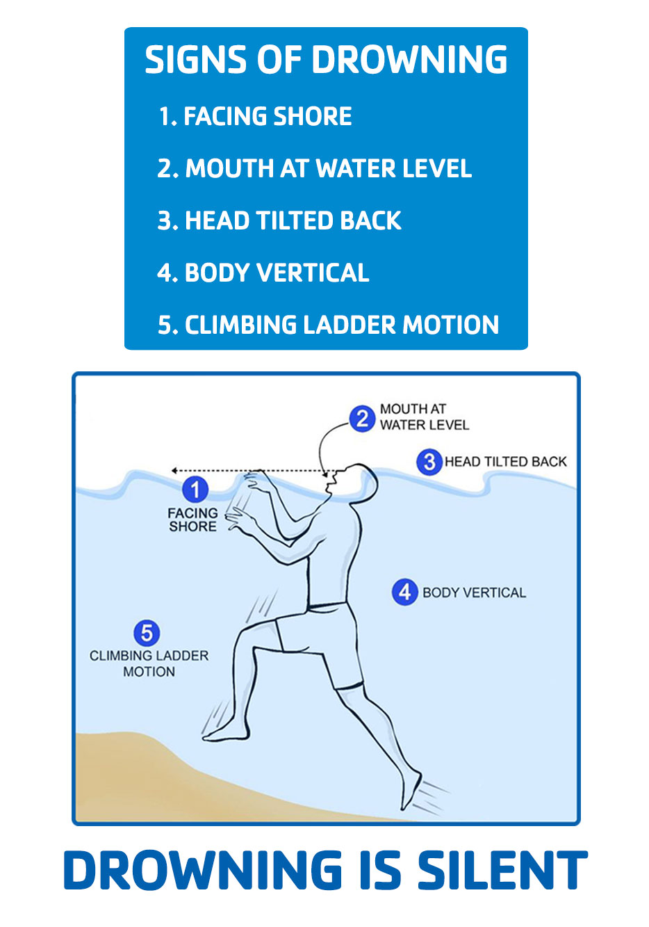 What Does Drowning Look Like What does drowning look like illustration, signs of drowning are facing shre, mouth at water level, head tilted back, body vertical, climbing ladder motion, drowning is silent