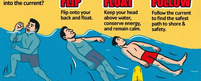 Flip Float Follow New