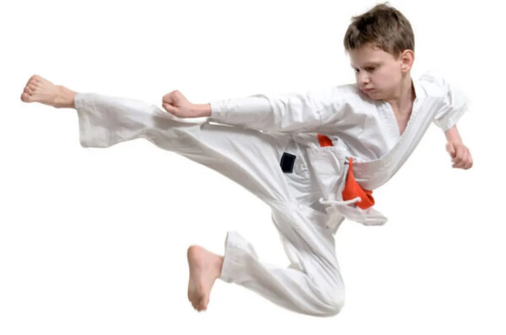 Martial Arts Img